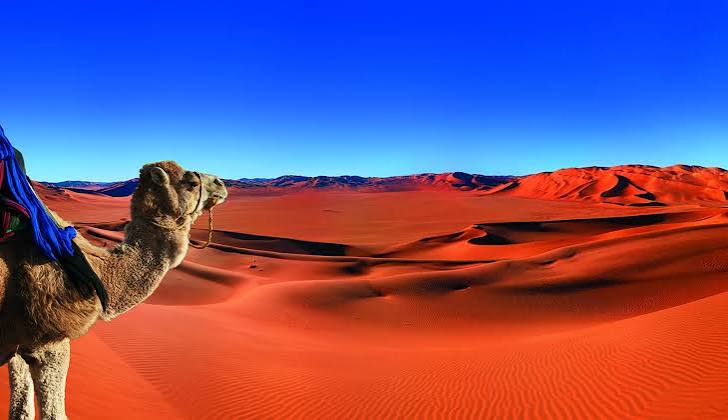 The Moroccan Sahara — the same desert that served as a highway for trade and scholarship for centuries continues to define Morocco's identity and geographic reach